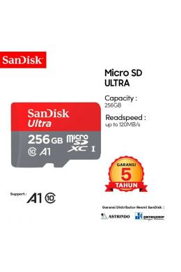 SanDisk Ultra MicroSDHC 256GB - Micro SD - No Adapter